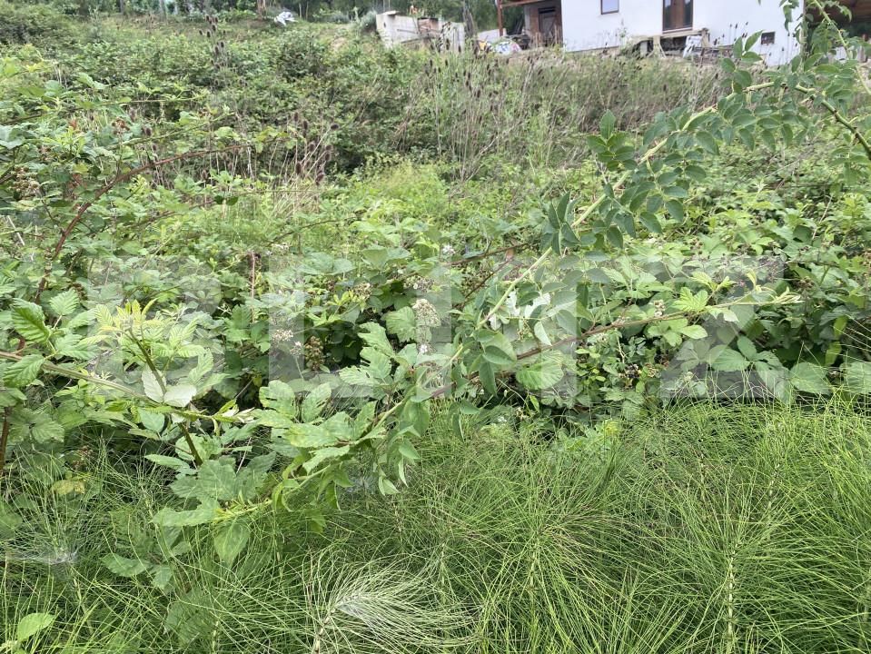 Teren de vânzare Exterior-Est - 153846TV | BLITZ Zalău | Poza3