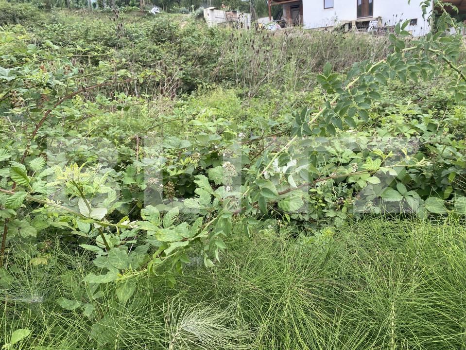 Teren de vânzare Exterior-Est - 153846TV | BLITZ Zalău | Poza4