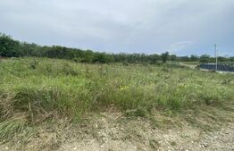 Teren intravilan 900 mp, zona  Crangului