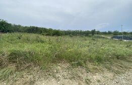 Teren intravilan 900 mp, zona  Crangului