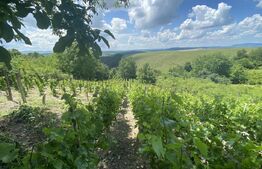 Teren extravilan vie cu cabana, in suprafata 3000 mp, zona Hereclean