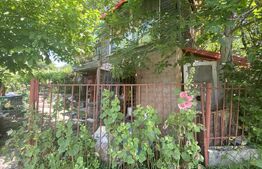 Teren extravilan vie cu cabana, in suprafata 3000 mp, zona Hereclean