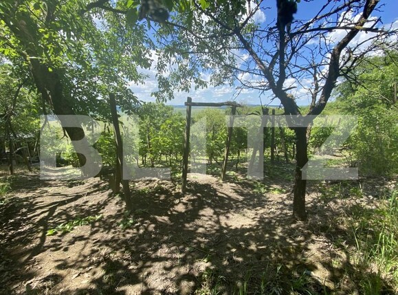 Teren de vânzare Nord-Est - 154000TV | BLITZ Zalău | Poza11