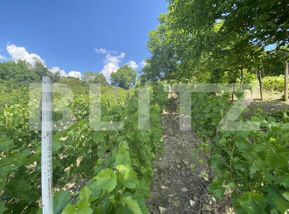 Teren de vânzare Nord-Est - 154000TV | BLITZ Zalău | Poza5