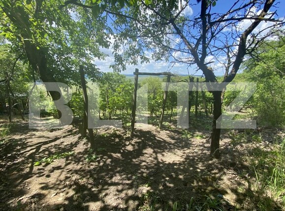 Teren de vânzare Nord-Est - 154000TV | BLITZ Zalău | Poza10