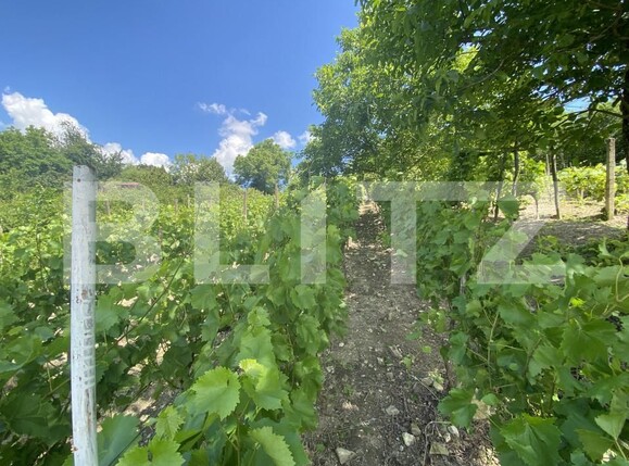 Teren de vânzare Nord-Est - 154000TV | BLITZ Zalău | Poza6