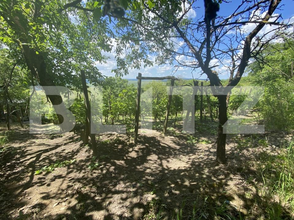 Teren de vânzare Nord-Est - 154000TV | BLITZ Zalău | Poza11