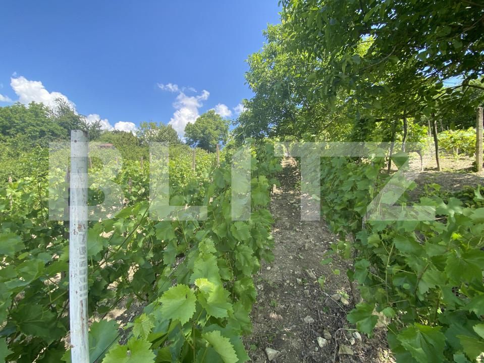 Teren de vânzare Nord-Est - 154000TV | BLITZ Zalău | Poza5