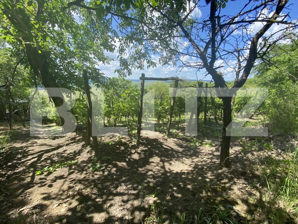 Teren de vânzare Nord-Est - 154000TV | BLITZ Zalău | Poza10