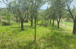 Teren intravilan 2774 mp, zona Dobrogeanu Gherea