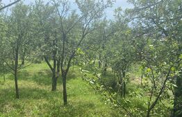 Teren intravilan 2774 mp, zona Dobrogeanu Gherea