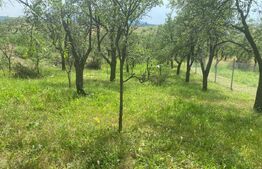 Teren intravilan 2774 mp, zona Dobrogeanu Gherea