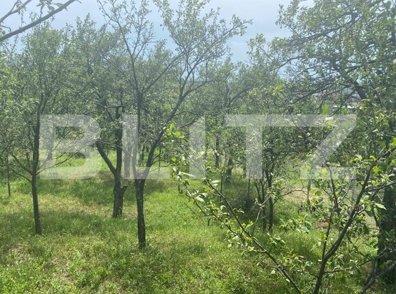 Teren de vânzare Sud-Vest - 154363TV | BLITZ Zalău | Poza1