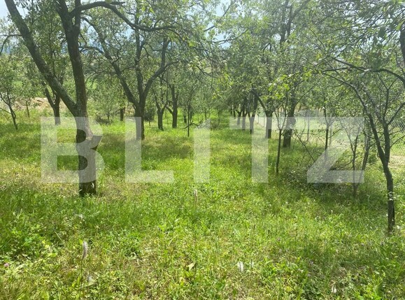 Teren de vânzare Sud-Vest - 154363TV | BLITZ Zalău | Poza4