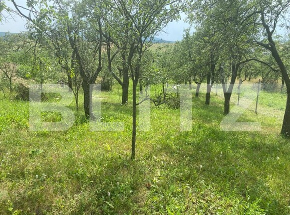 Teren de vânzare Sud-Vest - 154363TV | BLITZ Zalău | Poza2