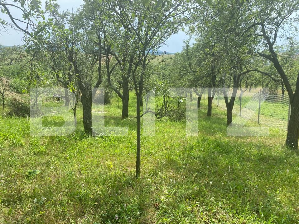 Teren de vânzare Sud-Vest - 154363TV | BLITZ Zalău | Poza3