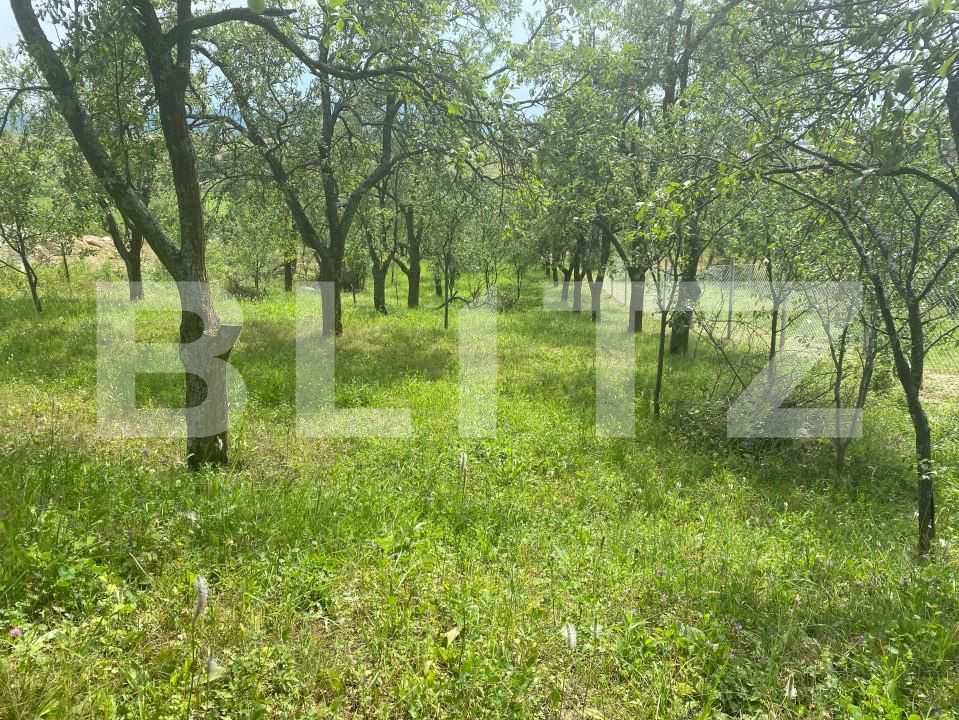 Teren de vânzare Sud-Vest - 154363TV | BLITZ Zalău | Poza4