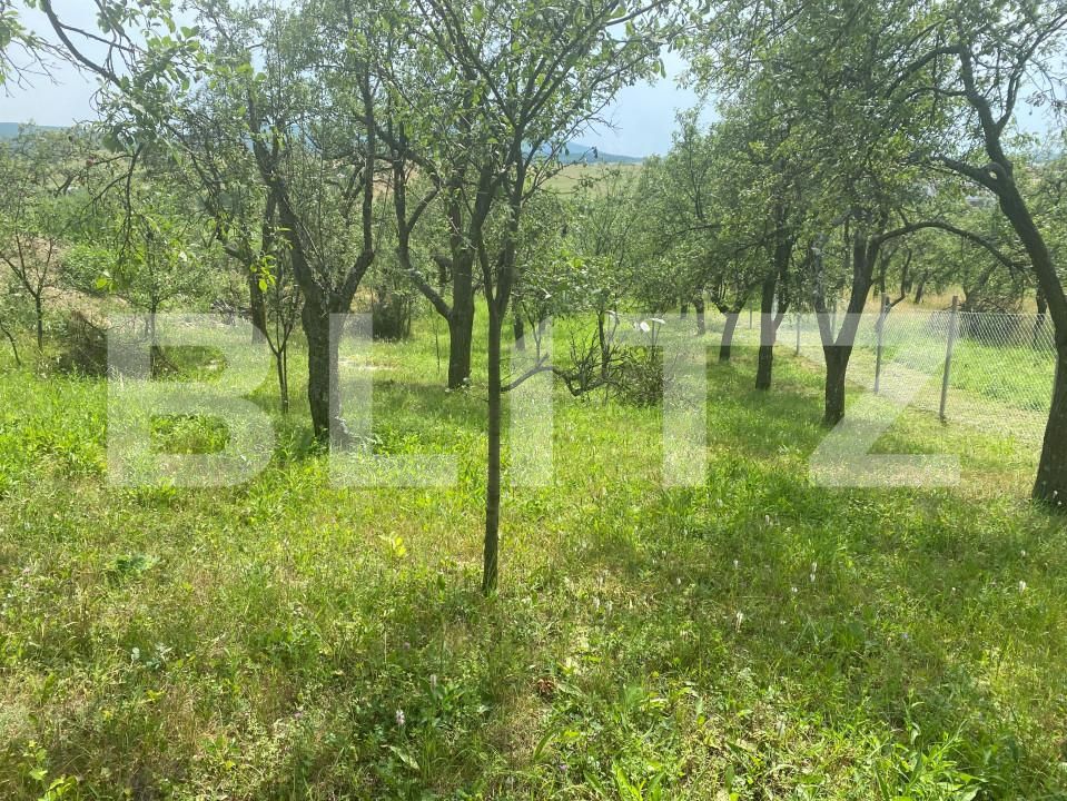 Teren de vânzare Sud-Vest - 154363TV | BLITZ Zalău | Poza2