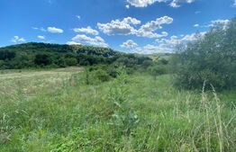 Teren intravilan 1500 mp, zona Sarmas