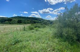 Teren intravilan 1500 mp, zona Sarmas