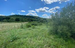 Teren intravilan 1500 mp, zona Sarmas