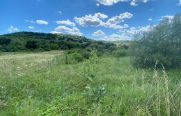 Teren intravilan 1500 mp, zona Sarmas