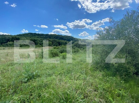 Teren de vânzare Exterior-Est - 154365TV | BLITZ Zalău | Poza4