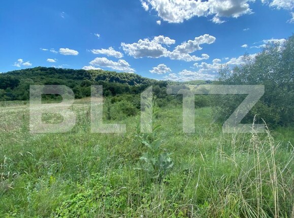 Teren de vânzare Exterior-Est - 154365TV | BLITZ Zalău | Poza5