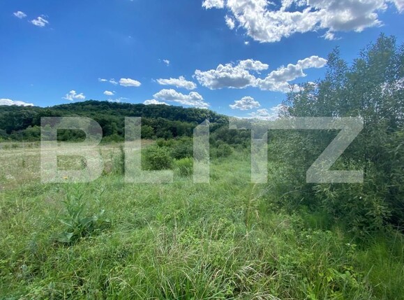 Teren de vânzare Exterior-Est - 154365TV | BLITZ Zalău | Poza2