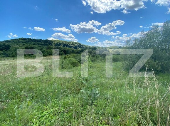 Teren de vânzare Exterior-Est - 154365TV | BLITZ Zalău | Poza3