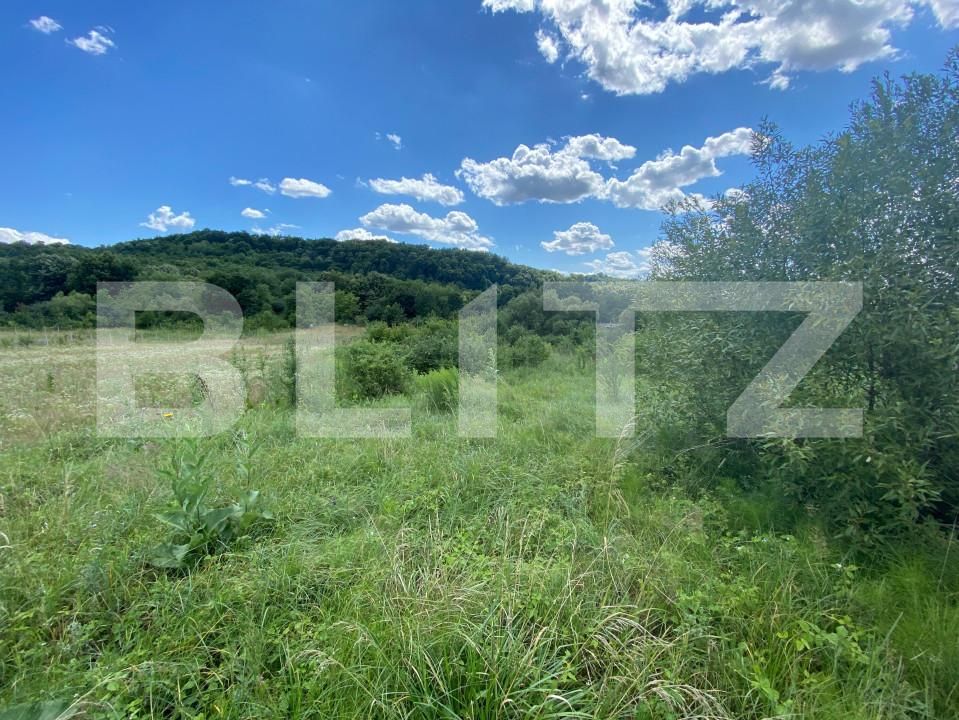 Teren de vânzare Exterior-Est - 154365TV | BLITZ Zalău | Poza4