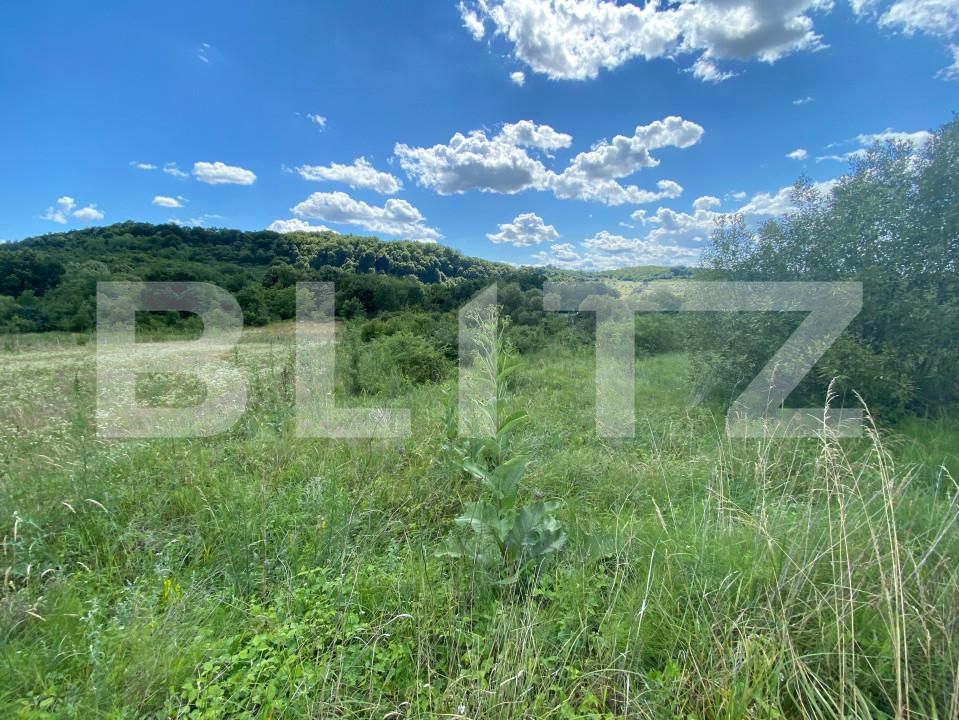 Teren de vânzare Exterior-Est - 154365TV | BLITZ Zalău | Poza5