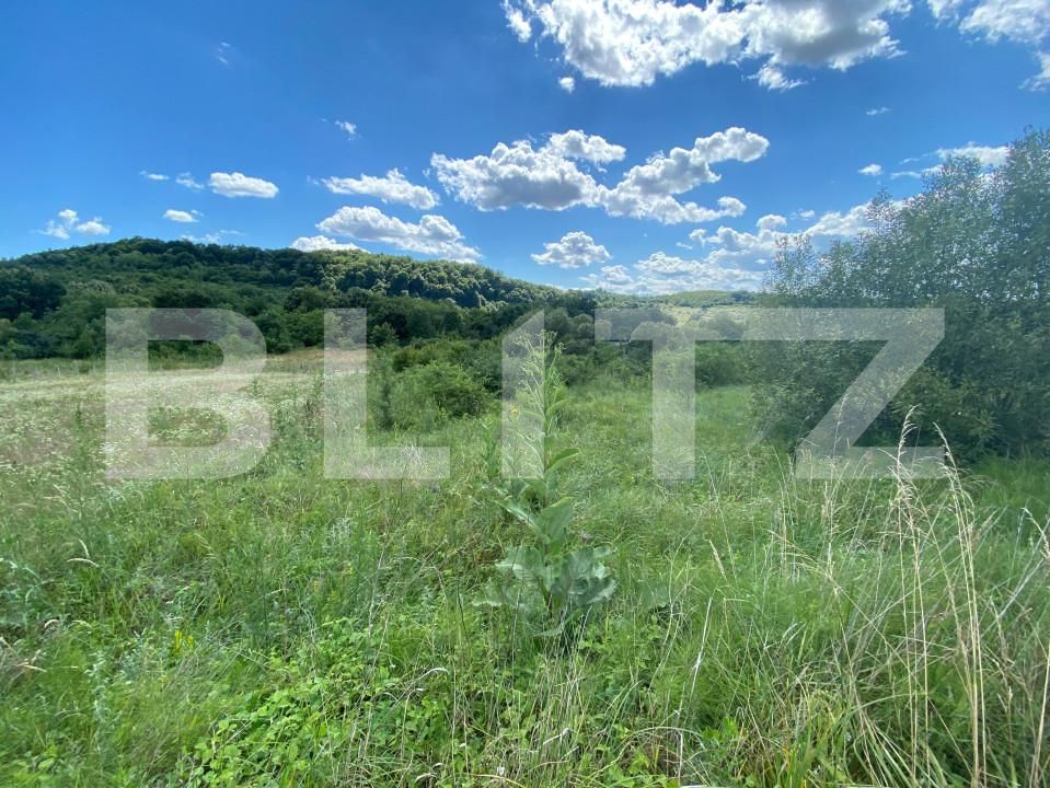 Teren de vânzare Exterior-Est - 154365TV | BLITZ Zalău | Poza3