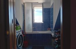 Apartament de 3 camere la vilă