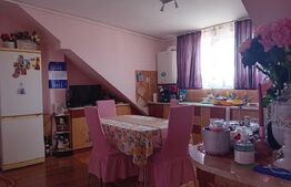 Apartament de 3 camere la vilă