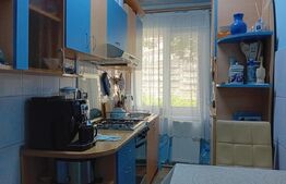 Apartament cu 2 camere la parter