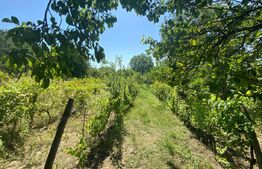 Teren intravilan in Parcela NOGY MAL in suprafata de 4113 mp, Zalau