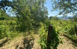 Teren intravilan in Parcela NOGY MAL in suprafata de 4113 mp, Zalau