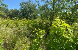 Teren intravilan in Parcela NOGY MAL in suprafata de 4113 mp, Zalau