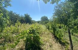 Teren intravilan in Parcela NOGY MAL in suprafata de 4113 mp, Zalau