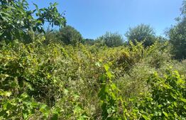 Teren intravilan in Parcela NOGY MAL in suprafata de 4113 mp, Zalau