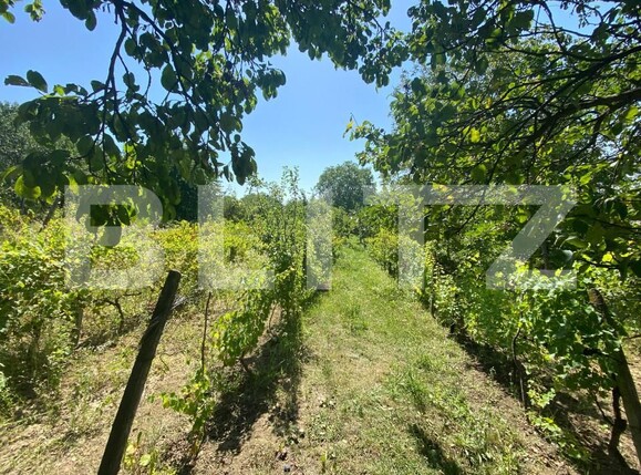 Teren de vânzare Nord-Est - 154633TV | BLITZ Zalău | Poza3