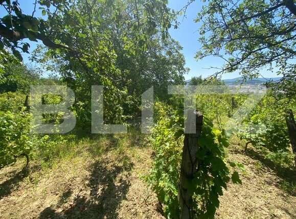 Teren de vânzare Nord-Est - 154633TV | BLITZ Zalău | Poza5