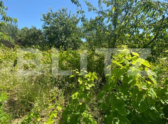 Teren de vânzare Nord-Est - 154633TV | BLITZ Zalău | Poza7