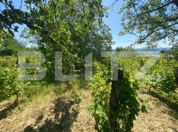 Teren de vânzare Nord-Est - 154633TV | BLITZ Zalău | Poza4