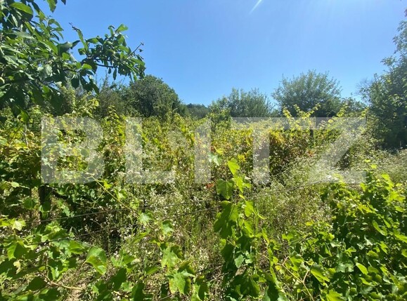 Teren de vânzare Nord-Est - 154633TV | BLITZ Zalău | Poza6