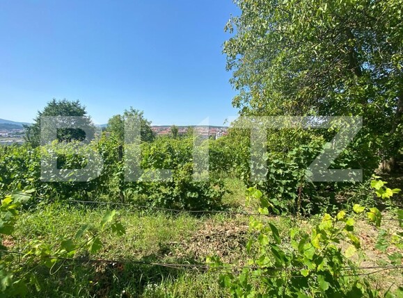 Teren de vânzare Nord-Est - 154633TV | BLITZ Zalău | Poza2