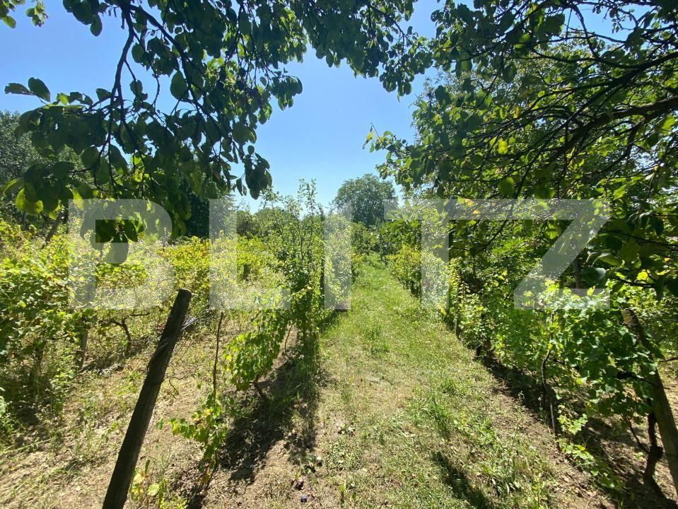 Teren de vânzare Nord-Est - 154633TV | BLITZ Zalău | Poza3