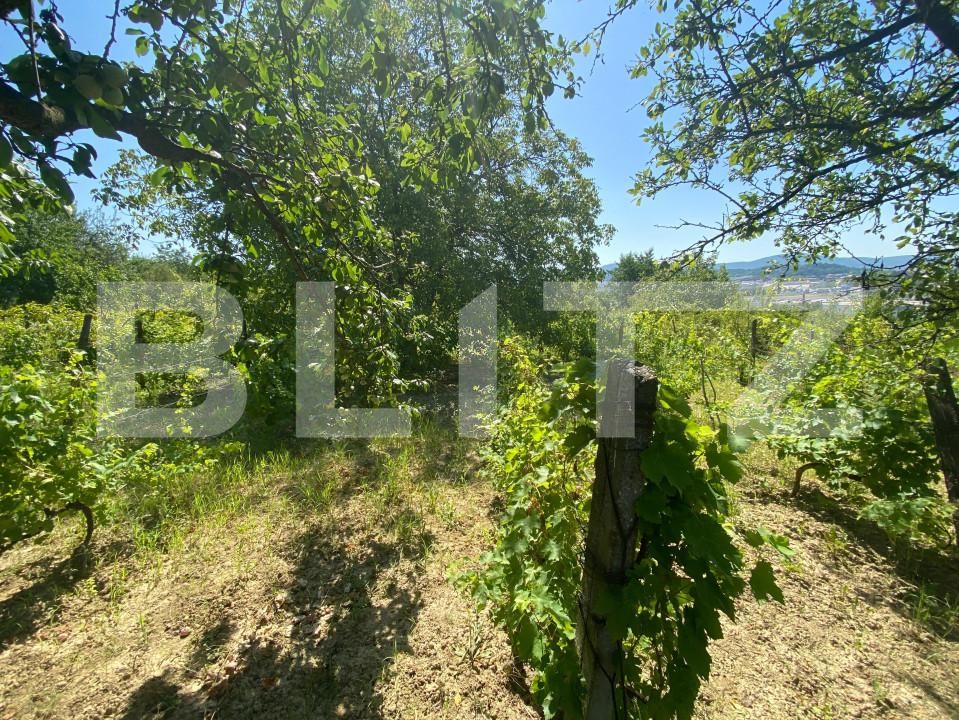 Teren de vânzare Nord-Est - 154633TV | BLITZ Zalău | Poza5