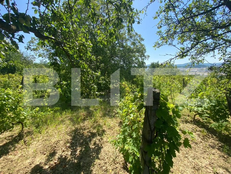 Teren de vânzare Nord-Est - 154633TV | BLITZ Zalău | Poza4